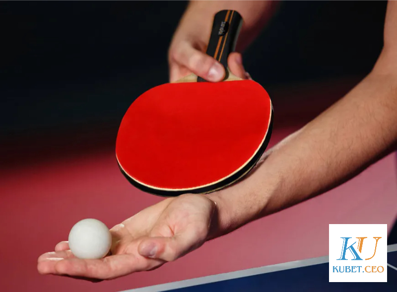 Giới thiệu cá cược bóng bàn Kubet 