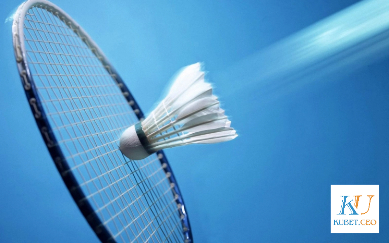 Giới thiệu về cá cược cầu lông Kubet